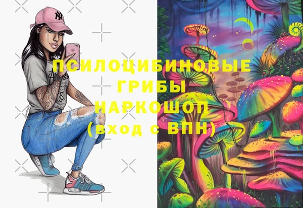 прущие крисы Арсеньев
